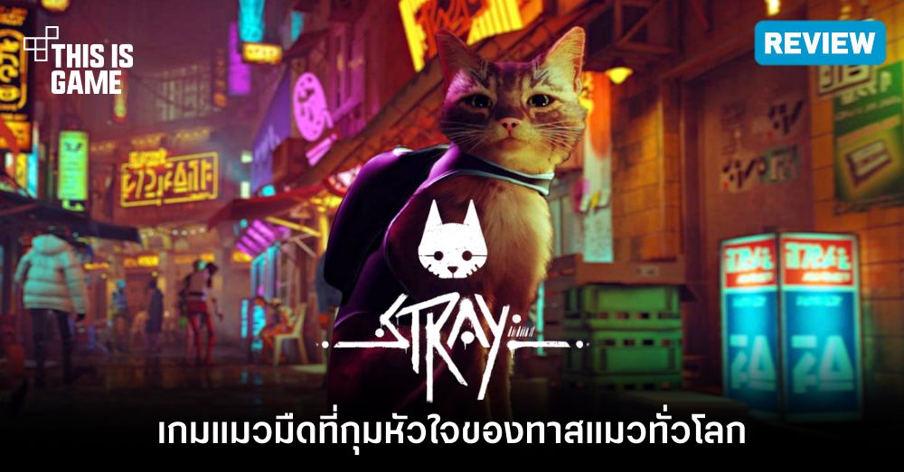 4 ม็อดสุดฮาที่จะทำให้ Stray กลายเป็นเกมตลก
