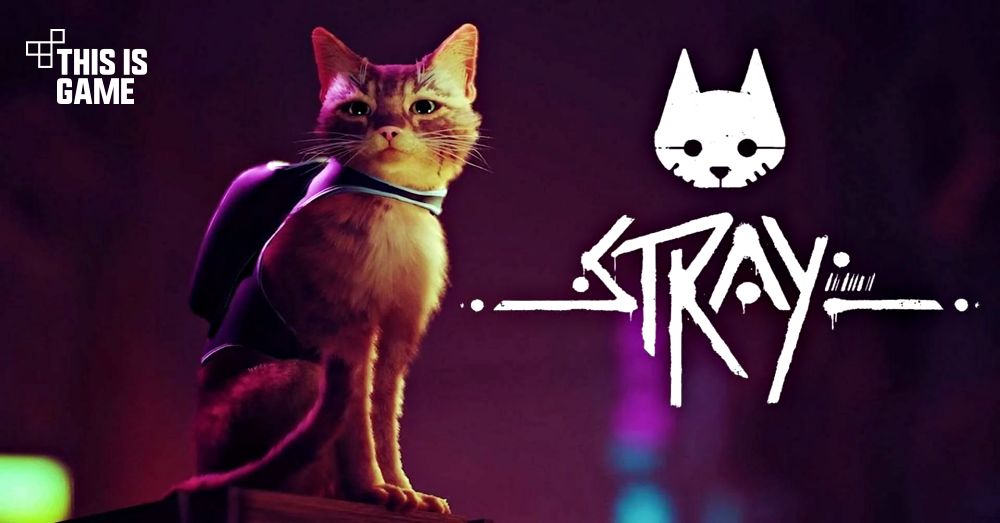 หลุดข้อมูลที่อาจเป็นวันวางจำหน่าย Stray