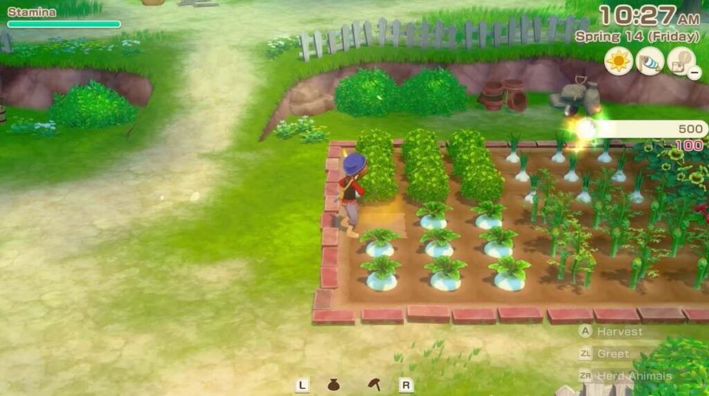 Story of Seasons Grand Bazaar ประกาศรีเมคอย่างเป็นทางการ 2 Story of Seasons Grand Bazaar ประกาศรีเมคอย่างเป็นทางการ