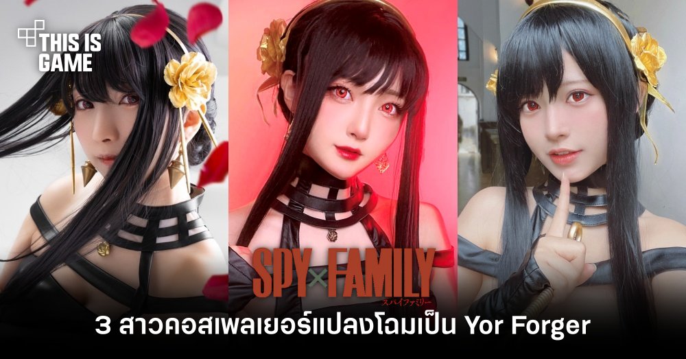 3 สาวคอสเพลเยอร์แปลงโฉมเป็น Yor Forger 1 3 สาวคอสเพลเยอร์แปลงโฉมเป็น Yor Forger
