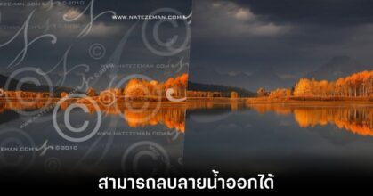 google-gemini-watermark-remove