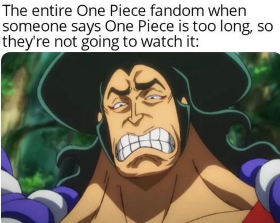 9 มีมที่แฟน One Piece จะต้องขำก๊าก