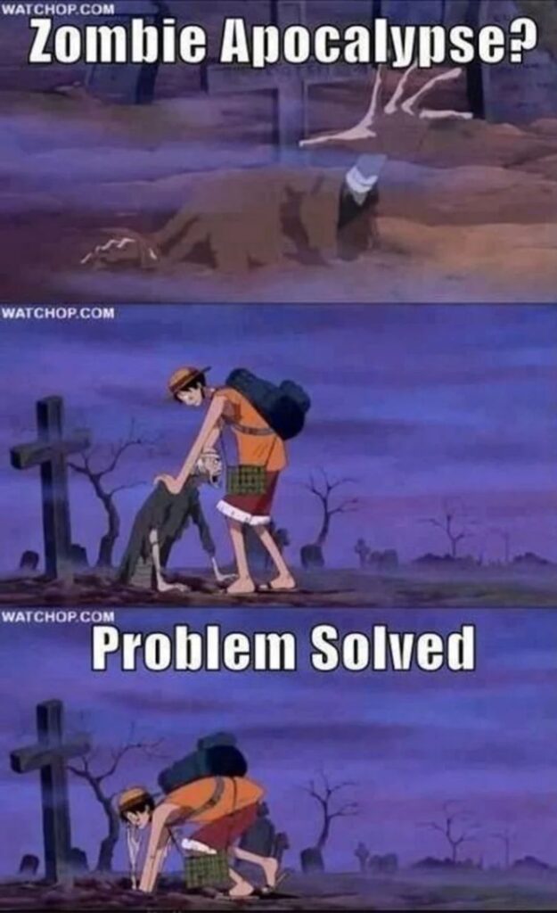 9 มีมที่แฟน One Piece จะต้องขำก๊าก