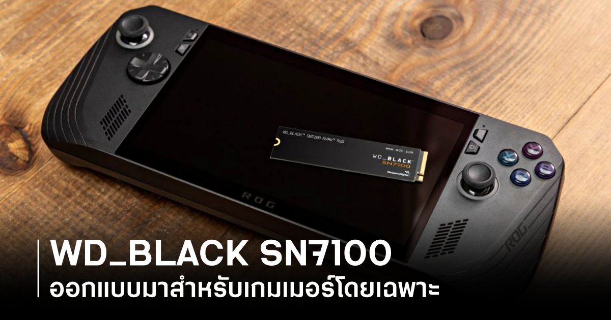 tig-wd-black-sn7100-review Feature