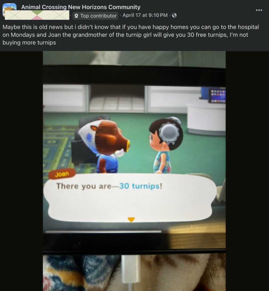 พบความลับ Animal Crossing: New Horizons ผู้เล่นรับหุ้นหัวไชเท้าฟรีได้ 2 พบความลับ Animal Crossing: New Horizons ผู้เล่นรับหุ้นหัวไชเท้าฟรีได้