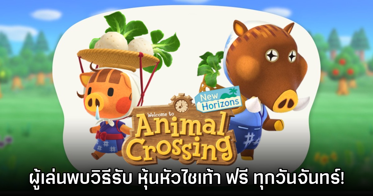 พบความลับ Animal Crossing: New Horizons ผู้เล่นรับหุ้นหัวไชเท้าฟรีได้ 1 พบความลับ Animal Crossing: New Horizons ผู้เล่นรับหุ้นหัวไชเท้าฟรีได้