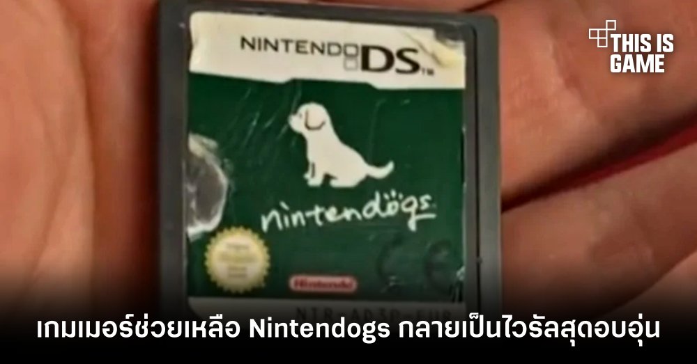 เกมเมอร์ช่วยเหลือ Nintendogs จนกลายเป็นไวรัลสุดอบอุ่น 1 เกมเมอร์ช่วยเหลือ Nintendogs จนกลายเป็นไวรัลสุดอบอุ่น