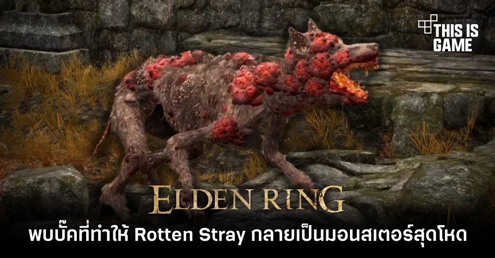 ผู้เล่น Elden Ring พบบั๊คที่ทำให้ Rotten Stray กลายเป็นมอนสเตอร์สุดโหด