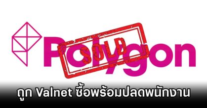 Polygon bought by Valnet