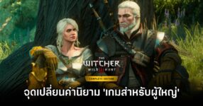 The Witcher 3 Change Vision