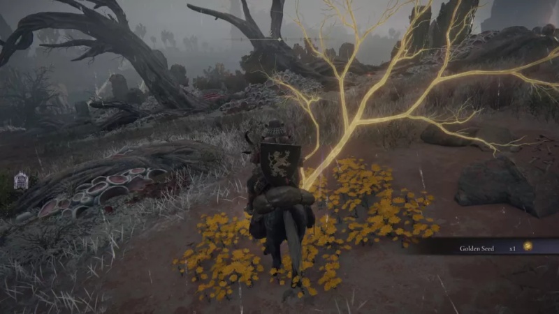 11 เทคนิคในการเอาชีวิตรอดใน Elden Ring 10 11 เทคนิคในการเอาชีวิตรอดใน Elden Ring