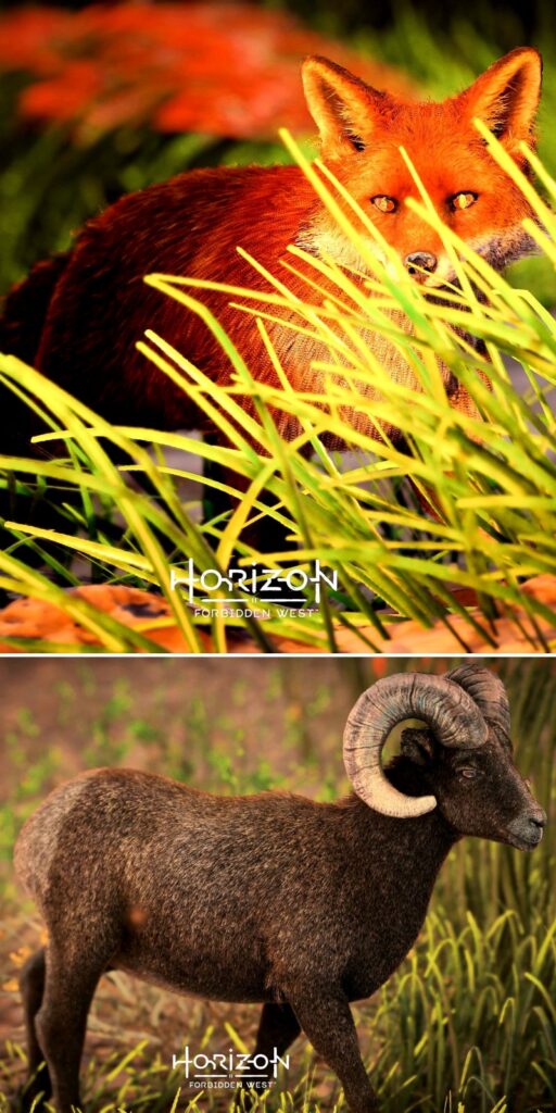 เกมเมอร์ไทยร่วมแชร์ภาพสุดงามจาก Horizon Forbidden West