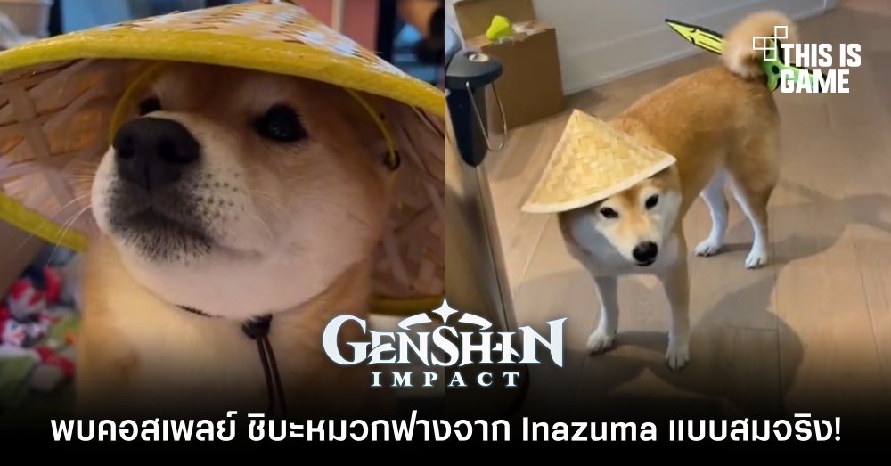พบคอสเพลย์ ชิบะหมวกฟางจาก Inazuma แบบสมจริง!