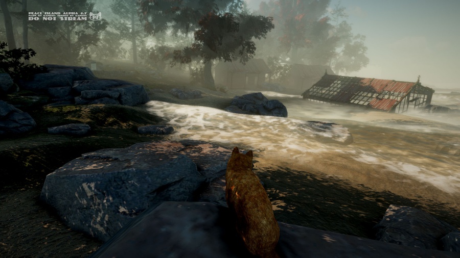 Peace Island เกมผจญภัยสุดคิวท์ของ 9 แมวเหมียวไขปริศนาคนหายไปจากเกาะ 5 Peace Island Announced