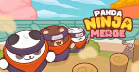 Panda Ninja School