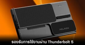 peladn-egpu-dock