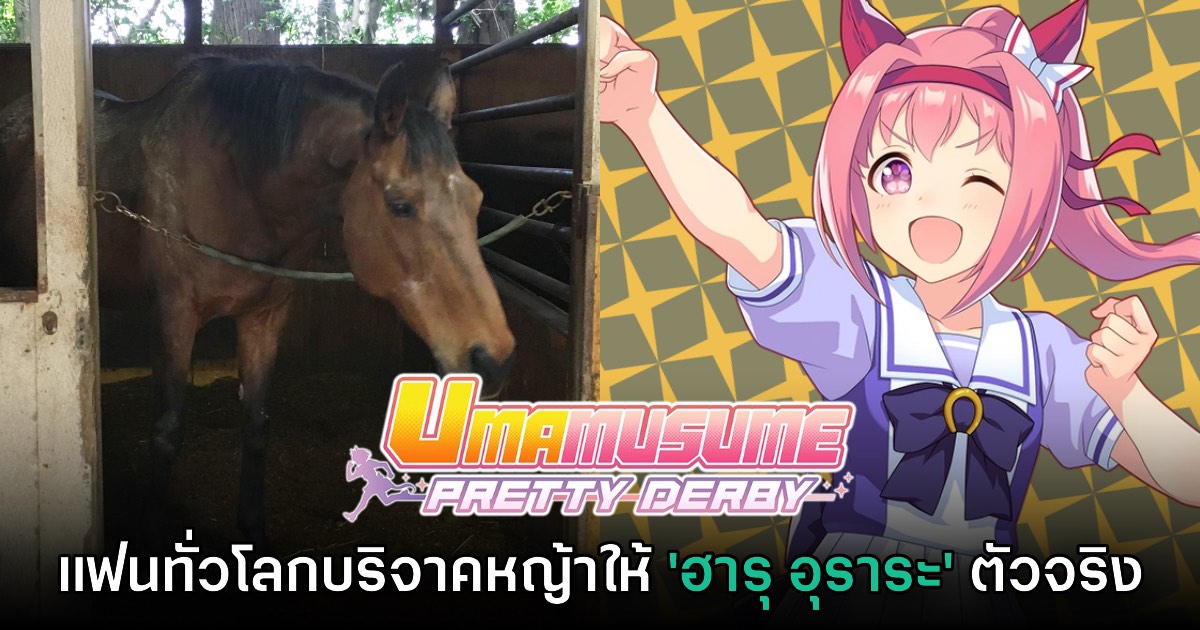 เจ้าของฟาร์มเผย 'ฮารุ อุราระ' ได้รับหญ้าบริจาคจากแฟนเกม Umamusume ทั่วโลก 1 เจ้าของฟาร์มเผย 'ฮารุ อุราระ' ได้รับหญ้าบริจาคจากแฟนเกม Umamusume ทั่วโลก