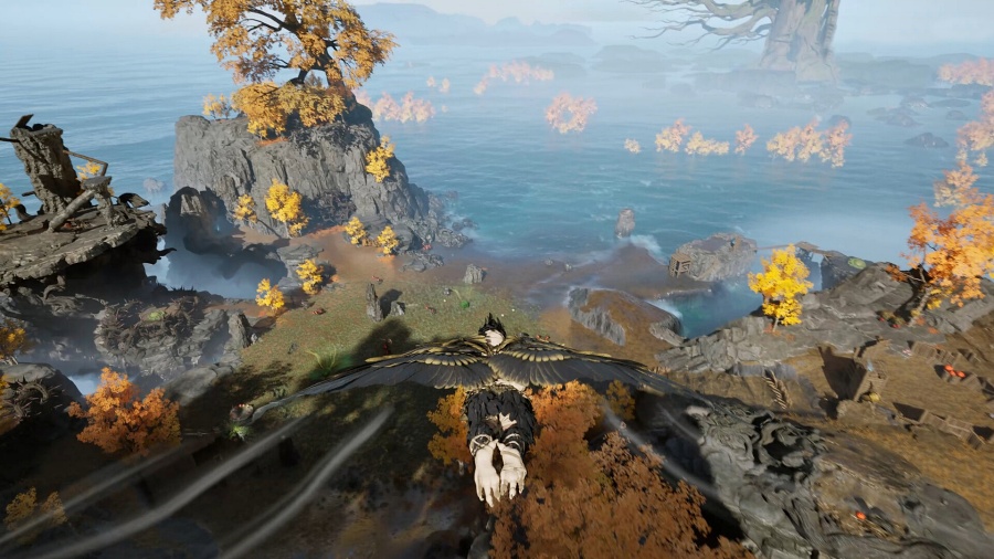 Peaks and Tides Announced 