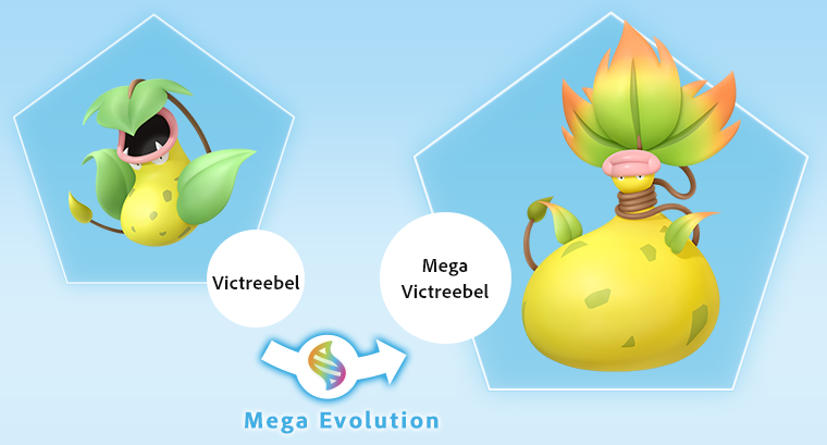 อัปเดตล่าสุดจาก Pokémon Legends: Z-Aเผยร่างวิวัฒนาการเมก้าของอุซึบ็อท