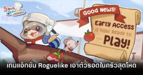 Sous Raccoon Announced