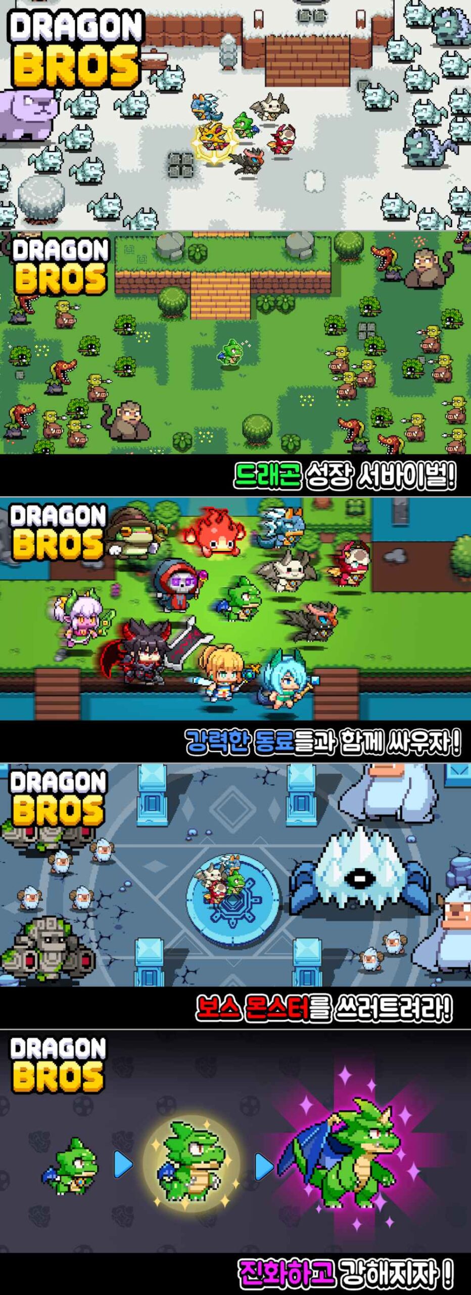 DragonBros