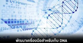 china-dna-cassett