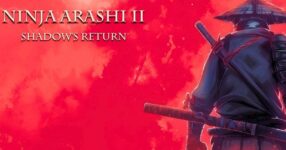 Ninja Arashi 2 Shadow's Return