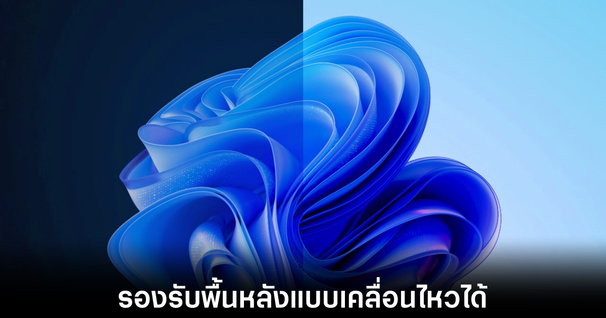 windows-11-dreamscene-features