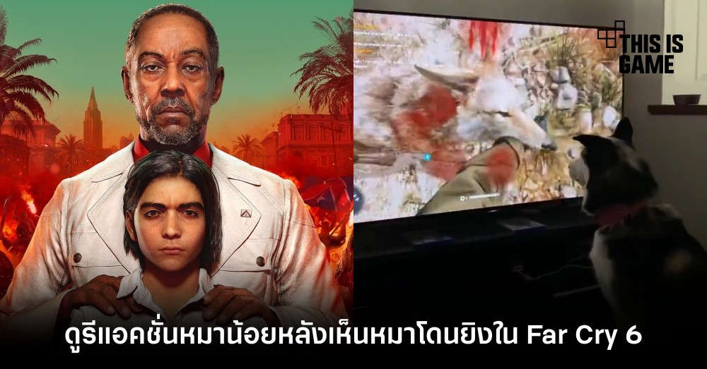 ยิงเพื่อนหนูทำไม? ดูรีแอ็กชั่นหมาน้อยหลังเห็นหมาโดนยิงใน Far Cry 6 1 ยิงเพื่อนหนูทำไม? ดูรีแอ็กชั่นหมาน้อยหลังเห็นหมาโดนยิงใน Far Cry 6