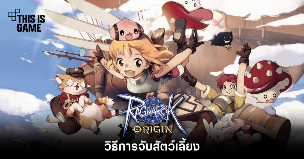 วิธีการจับสัตว์เลี้ยงใน Ragnarok Origin