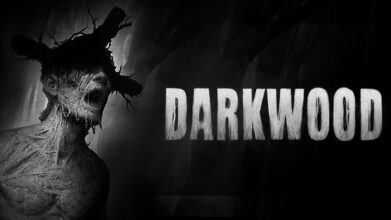 หมั่นไส้! ผู้พัฒนาปล่อย Darkwood บิทให้เล่นฟรี 4 หมั่นไส้! ผู้พัฒนาปล่อย Darkwood บิทให้เล่นฟรี