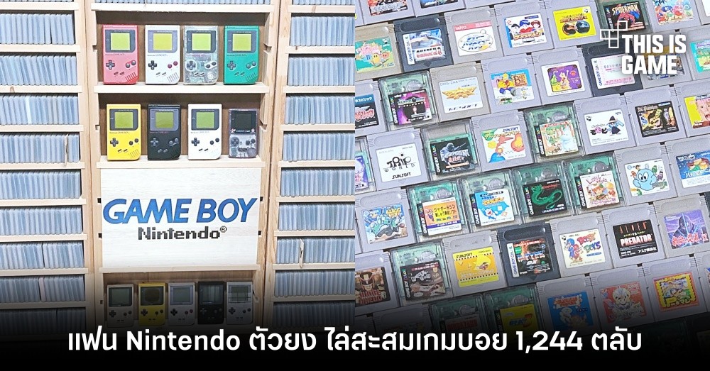 แฟน Nintendo ตัวยง ไล่สะสมเกมบอย 1,244 ตลับ 1 แฟน Nintendo ตัวยง ไล่สะสมเกมบอย 1,244 ตลับ