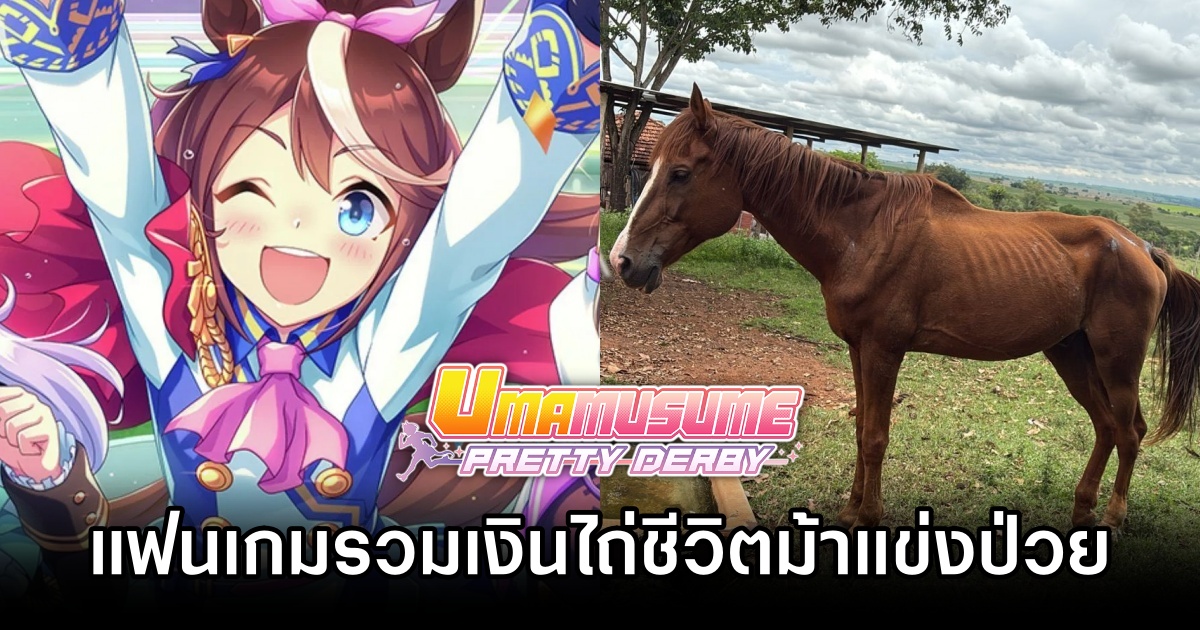 แฟนเกม Umamusume: Pretty Derby รวมเงินไถ่ชีวิตม้าแข่งป่วย 1 Umamusume: Pretty Derby fans save sick racehorse