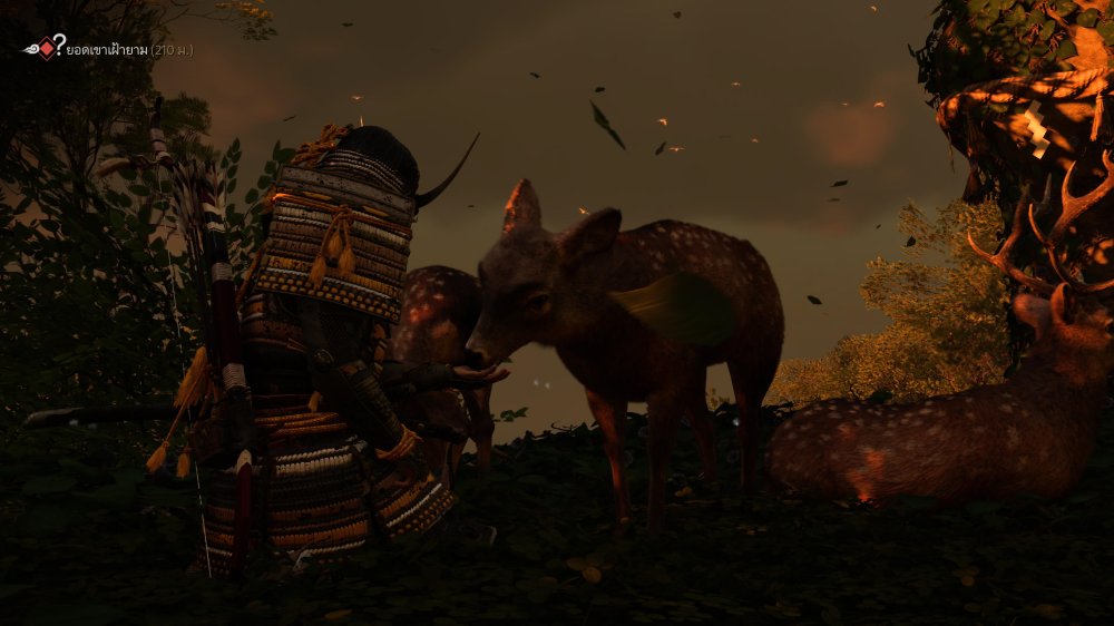 [รีวิว] Ghost of Tsushima Director's Cut สานต่อตำนานนักรบปีศาจ ออกผจญภัยไปบนเกาะ Iki