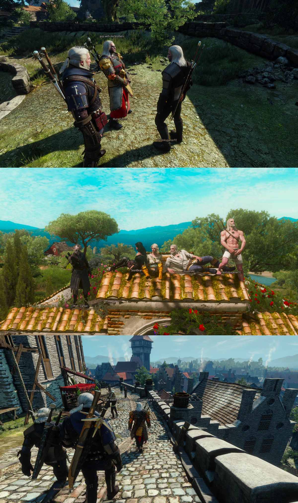 Mod ใหม่ The Witcher 3 เพิ่มโหมดออนไลน์ ตะลุยแคมเปญแบบ MMO