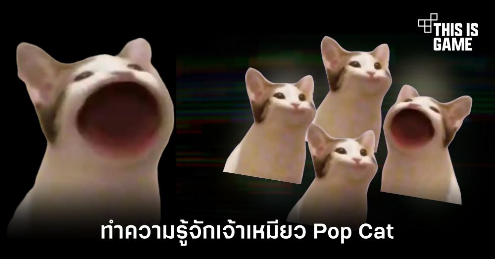ทำความรู้จักเจ้าเหมียว Pop Cat