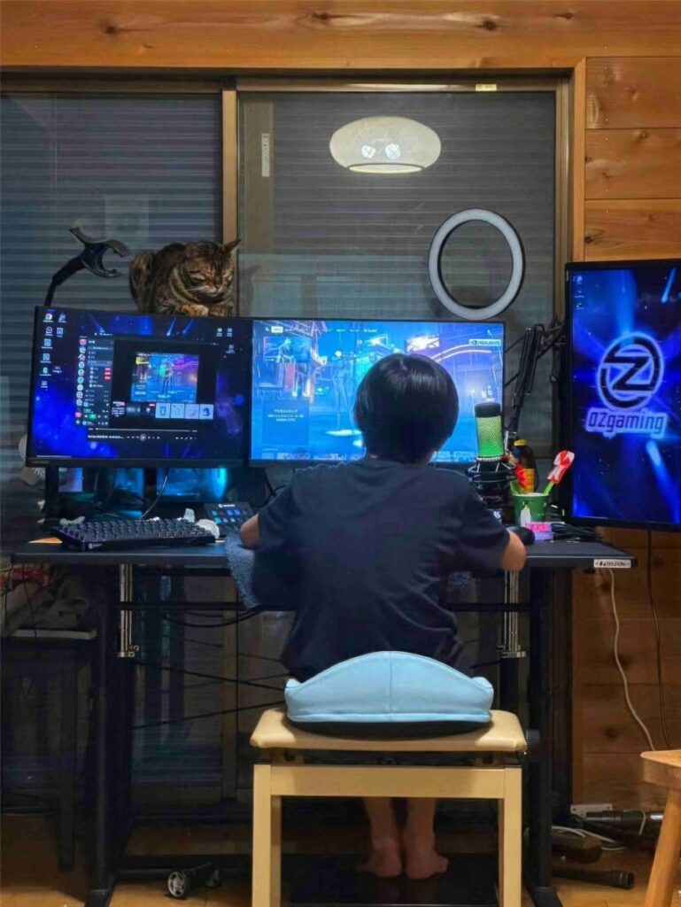 Japan 12yo Quits for Esports