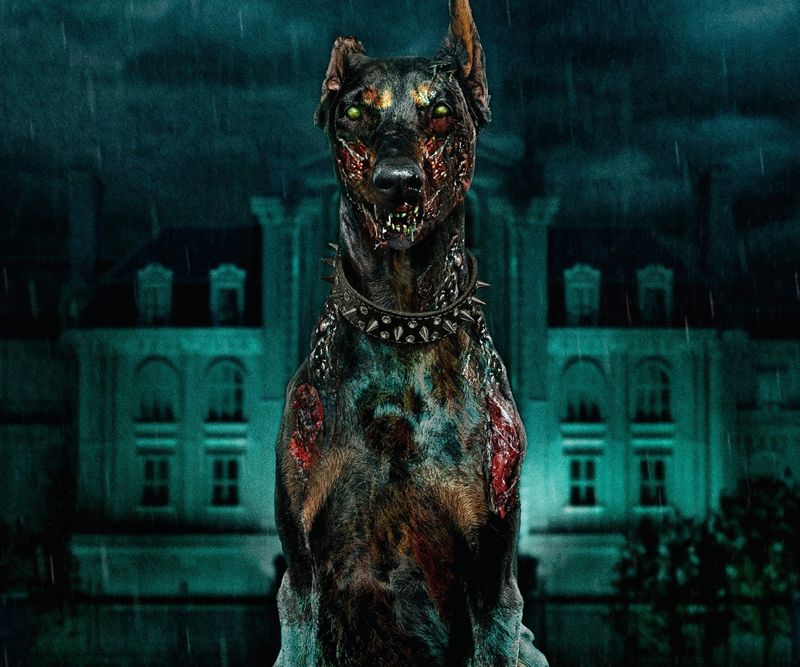 ผู้กำกับ Resident Evil ชี้ จะทำหนังต้องเคยเล่นเกมมาก่อน