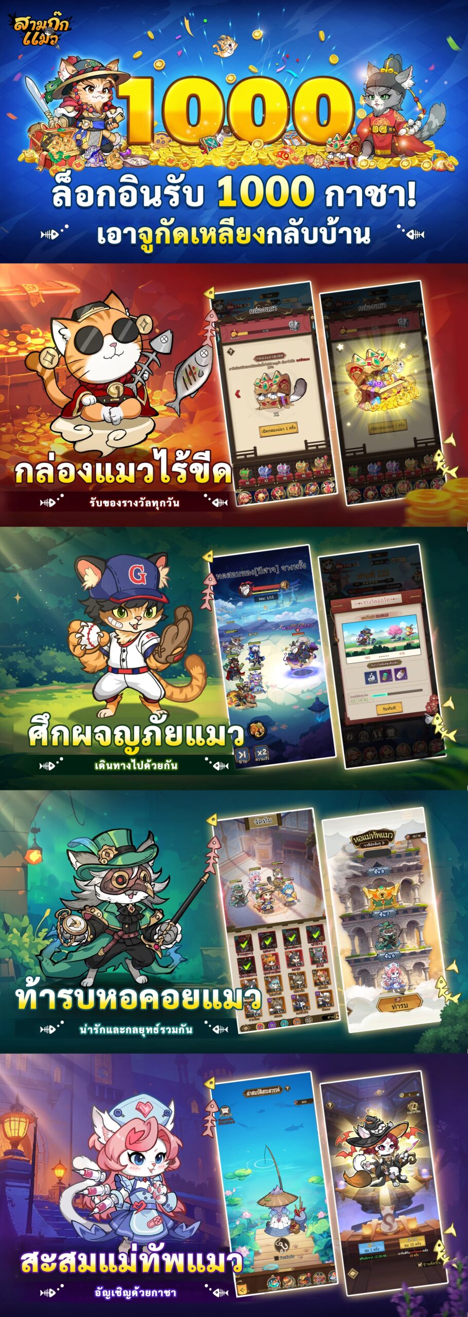 สามก๊กแมว