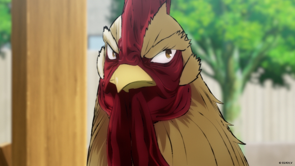 เอ้กอี้เอ้กเอ้ก! 15 มีนาคมนี้ Rooster Fighter ยอดไก่นักสู้กู้โลก พร้อมสตรีมแล้วบน Crunchyroll ในอินเดียและ SEA