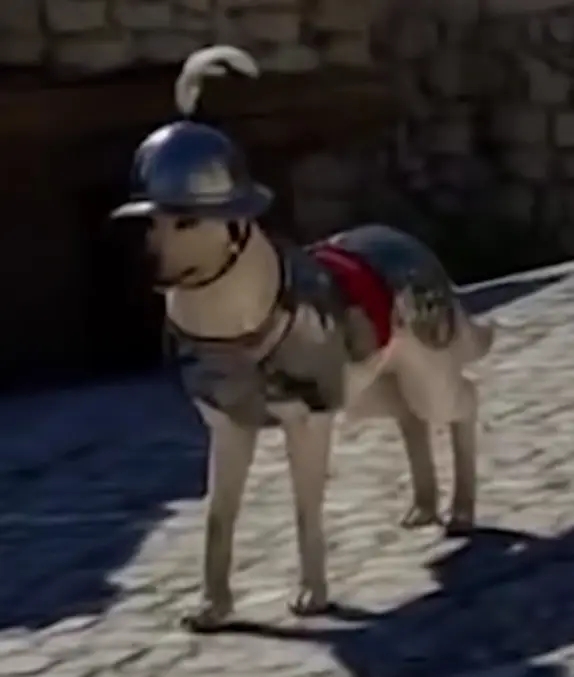 ไวรัล! เมื่อทาสซื้อ Crimson Desert มาเพื่อเติมแมวอ้วง