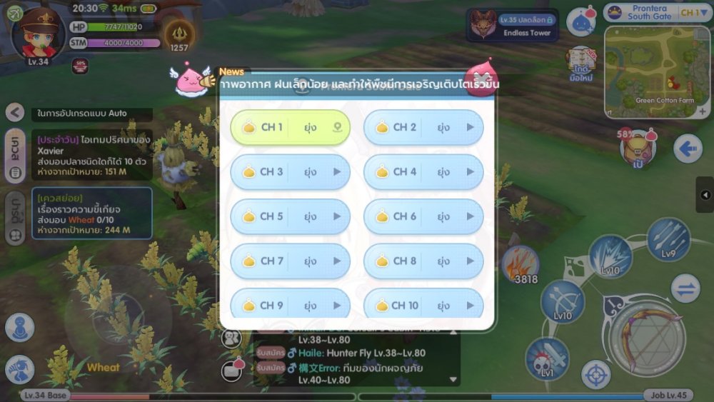 [ROX Tips] วิธีการหา Wheat ได้แบบไม่จำกัด