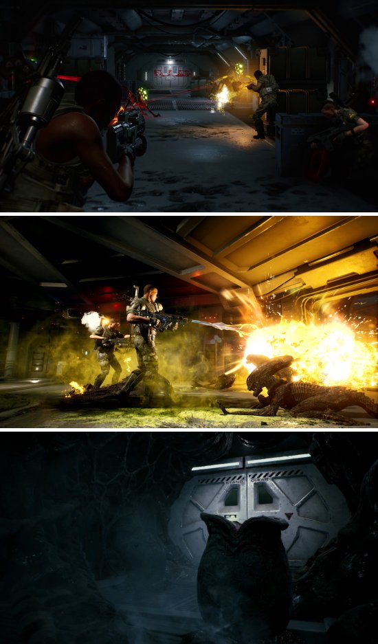 ปะทะกับเหล่า Xenomorph แบบ TPS ใน Aliens: Fireteam Elite 4 ปะทะกับเหล่า Xenomorph แบบ TPS ใน Aliens: Fireteam Elite