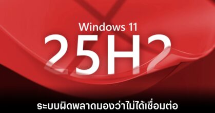 windows-11-network-bug-25h2