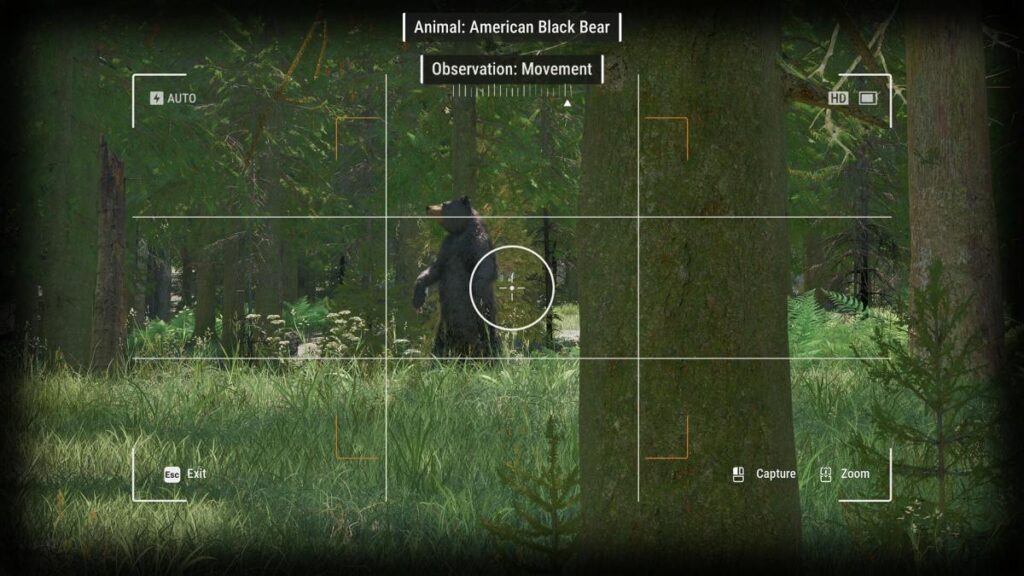 Ranger’s Path: National Park Simulator เปิดให้เล่นรูปแบบ Early Access แล้ว