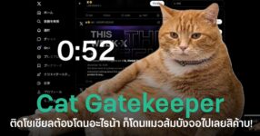 Cat Gatekeeper เครื่องมือบน Chrome จากญี่ปุ่น ที่ใช้แมวส้มตัวใหญ่บังหน้าจอเมื่อผู้ใช้เล่นโซเชียลมีเดียนานเกินเวลาที่ตั้งไว้ ช่วยบังคับให้พักจากการไถฟีด