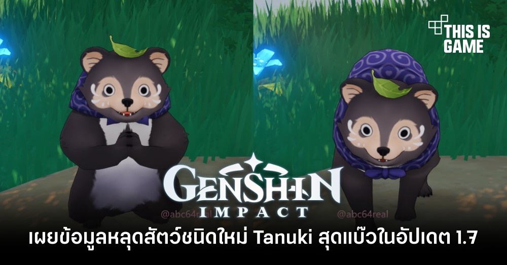 เผยข้อมูลหลุดสัตว์ชนิดใหม่ Tanuki สุดแบ๊วใน Genshin Impact 1.7