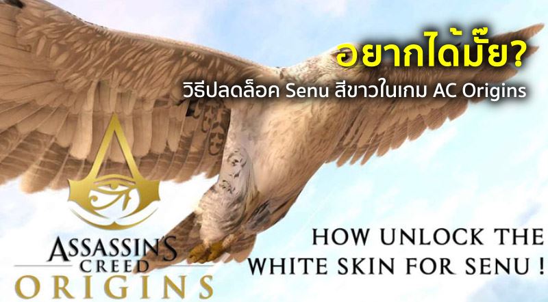อยากได้มั๊ย? วิธีปลดล็อค Senu สีขาวในเกม AC Origins