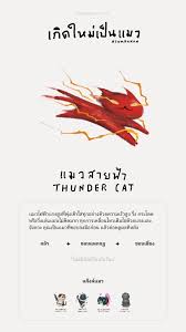 ควิซเกิดใหม่เป็นแมว (Reborn as a Cat) สุดตะมุตะมิ ชวนค้นว่าเราเป็นแมวสไตล์ไหน?