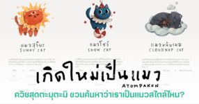 ควิซ “เกิดใหม่เป็นแมว” แบบทดสอบทายนิสัยที่ชวนดูว่าเราเป็นแมวแบบไหน